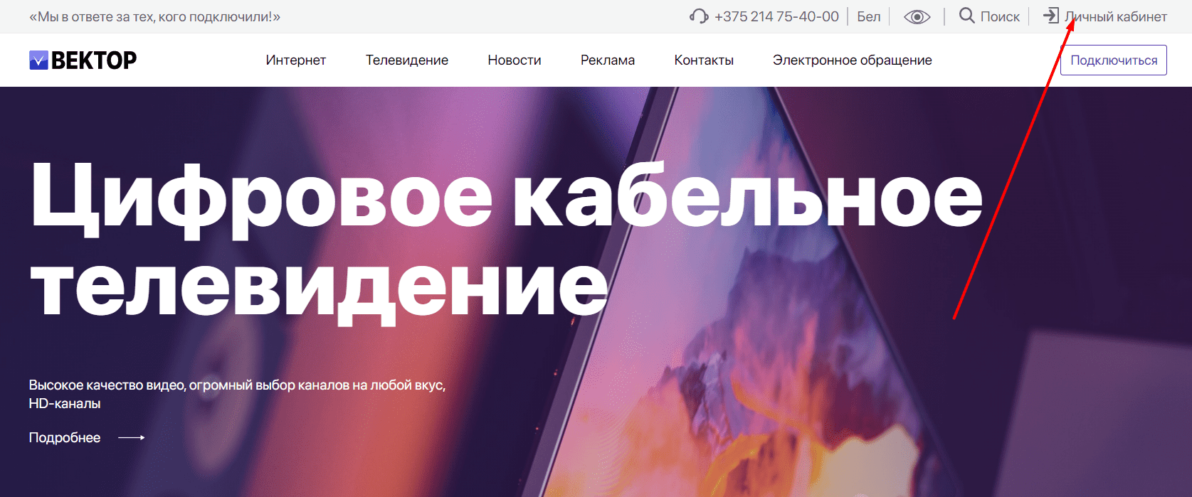 Вектор (vectornet.by)